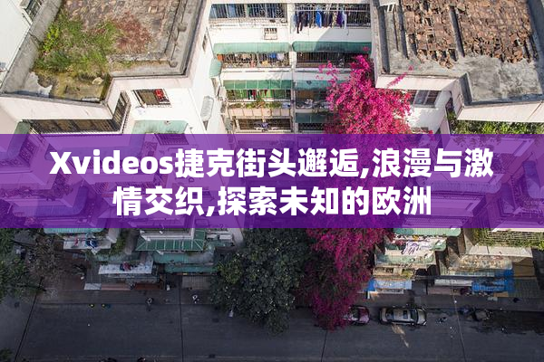 Xvideos捷克街头邂逅,浪漫与激情交织,探索未知的欧洲