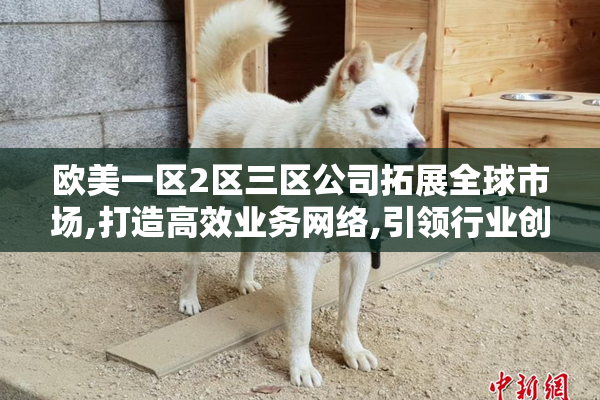 欧美一区2区三区公司拓展全球市场,打造高效业务网络,引领行业创新