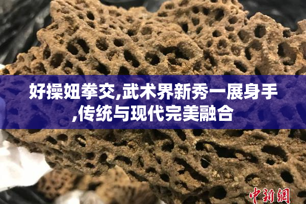 好操妞拳交,武术界新秀一展身手,传统与现代完美融合