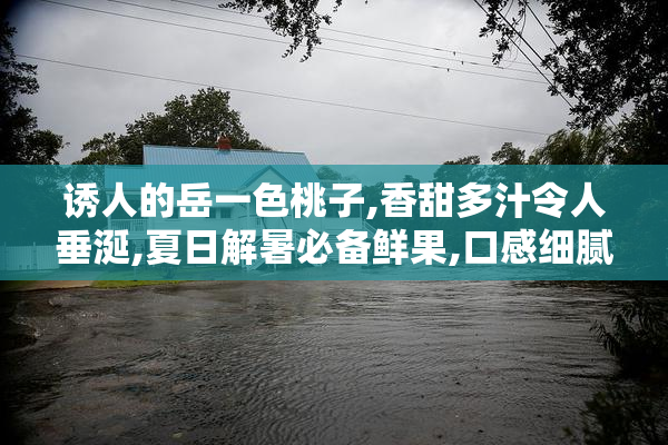 诱人的岳一色桃子,香甜多汁令人垂涎,夏日解暑必备鲜果,口感细腻