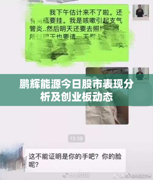 鹏辉能源今日股市表现分析及创业板动态