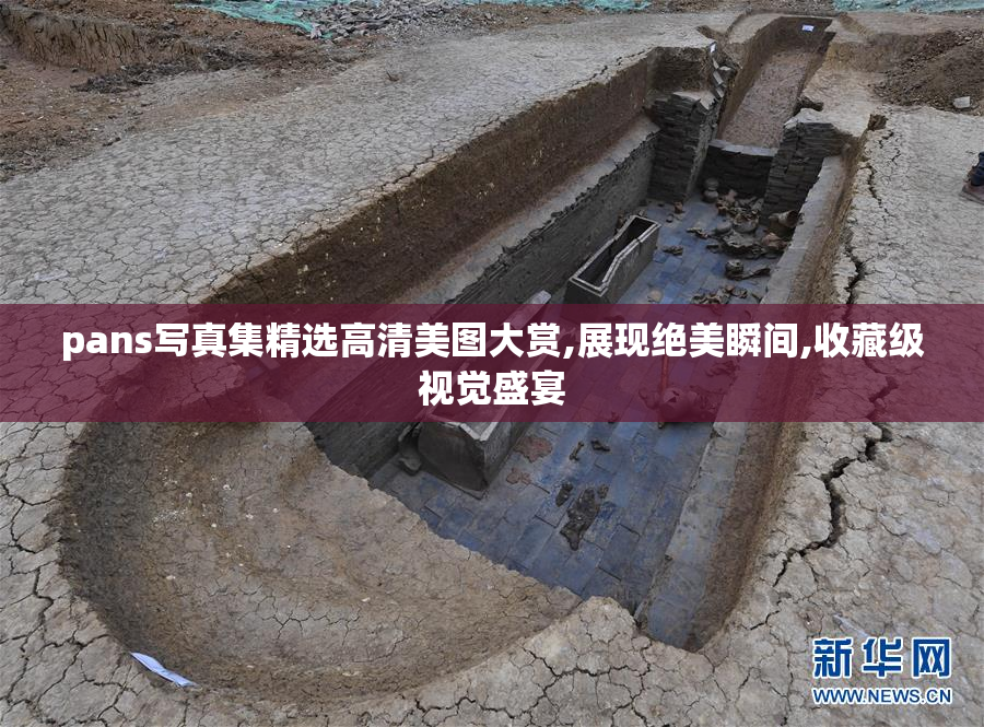 pans写真集精选高清美图大赏,展现绝美瞬间,收藏级视觉盛宴
