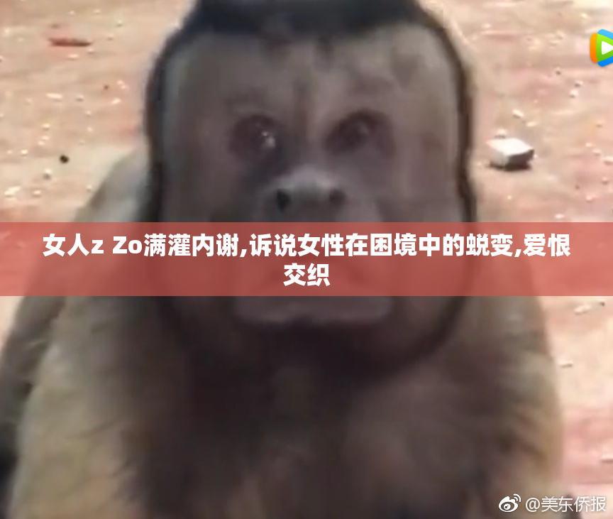 女人z Zo满灌内谢,诉说女性在困境中的蜕变,爱恨交织