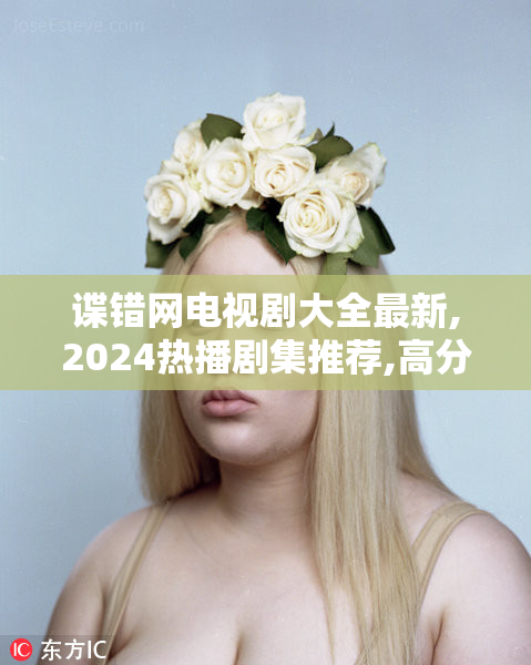 谍错网电视剧大全最新,2024热播剧集推荐,高分经典与