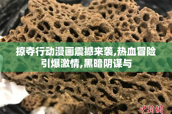 掠夺行动漫画震撼来袭,热血冒险引爆激情,黑暗阴谋与