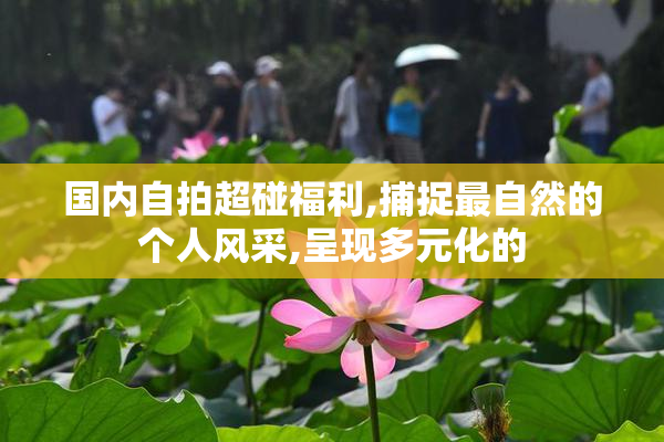 国内自拍超碰福利,捕捉最自然的个人风采,呈现多元化的