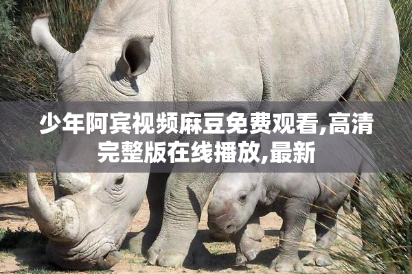 少年阿宾视频麻豆免费观看,高清完整版在线播放,最新