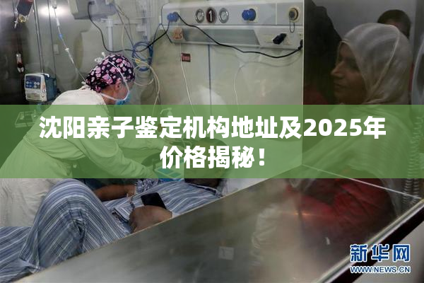 沈阳亲子鉴定机构地址及2025年价格揭秘！