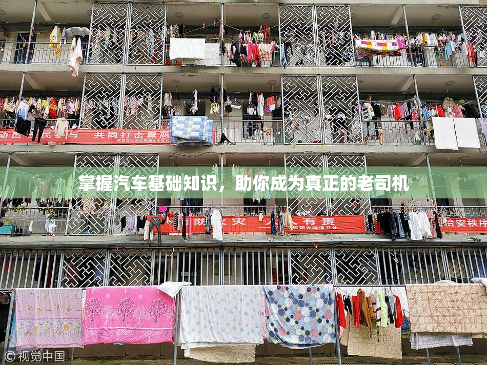 掌握汽车基础知识，助你成为真正的老司机