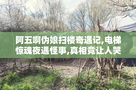 阿五啊伪娘扫楼奇遇记,电梯惊魂夜遇怪事,真相竟让人哭笑不得