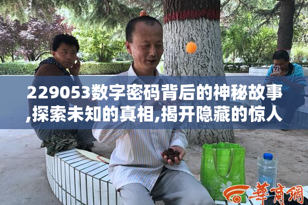 229053数字密码背后的神秘故事,探索未知的真相,揭开隐藏的惊人秘密