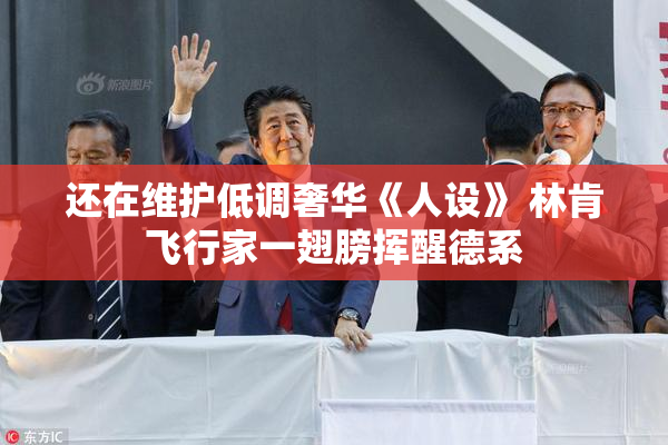还在维护低调奢华《人设》 林肯飞行家一翅膀挥醒德系