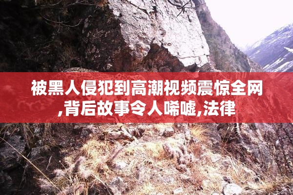 被黑人侵犯到高潮视频震惊全网,背后故事令人唏嘘,法律