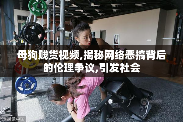 母狗贱货视频,揭秘网络恶搞背后的伦理争议,引发社会