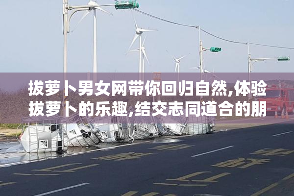拔萝卜男女网带你回归自然,体验拔萝卜的乐趣,结交志同道合的朋友