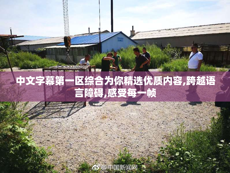 中文字幕第一区综合为你精选优质内容,跨越语言障碍,感受每一帧