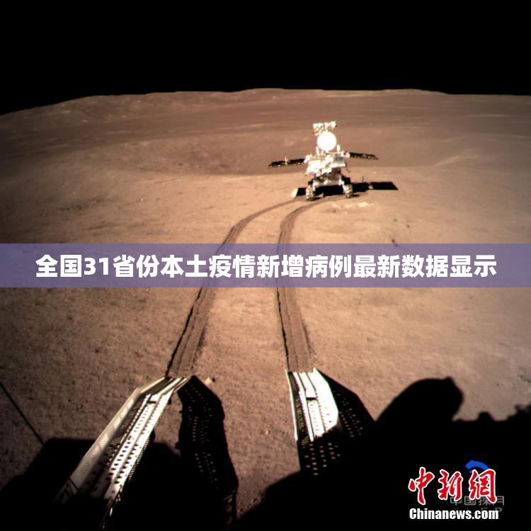 全国31省份本土疫情新增病例最新数据显示