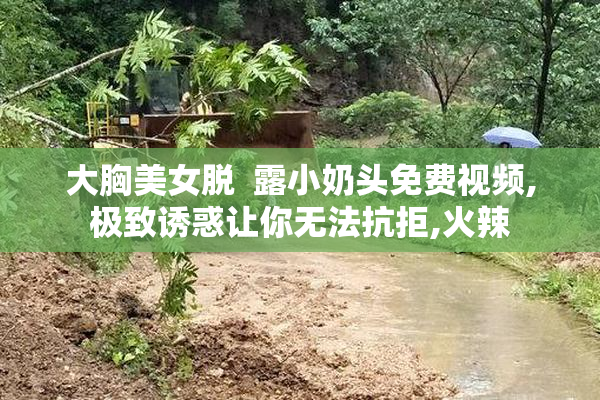 大胸美女脱  露小奶头免费视频,极致诱惑让你无法抗拒,火辣