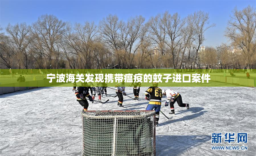 宁波海关发现携带瘟疫的蚊子进口案件