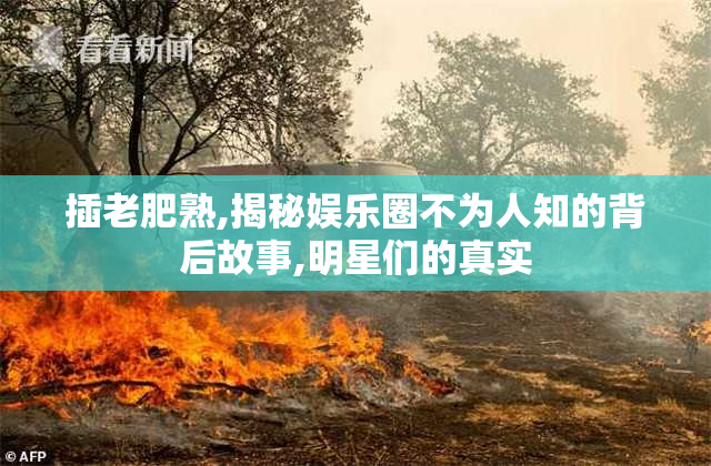 插老肥熟,揭秘娱乐圈不为人知的背后故事,明星们的真实