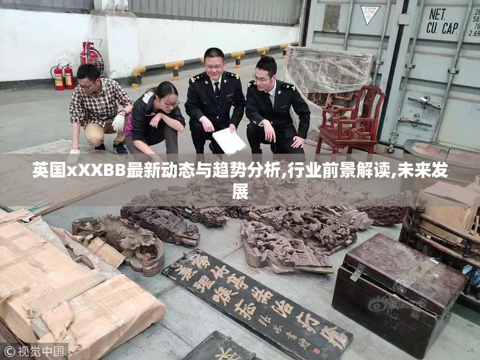 英国xXXBB最新动态与趋势分析,行业前景解读,未来发展