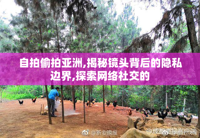 自拍偷拍亚洲,揭秘镜头背后的隐私边界,探索网络社交的