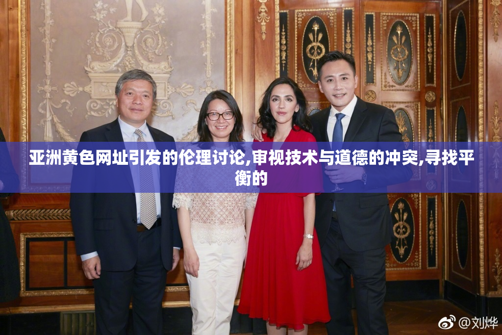 亚洲黄色网址引发的伦理讨论,审视技术与道德的冲突,寻找平衡的