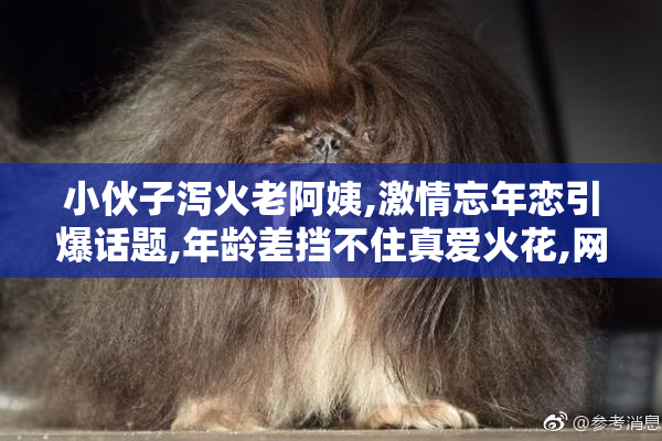 小伙子泻火老阿姨,激情忘年恋引爆话题,年龄差挡不住真爱火花,网友