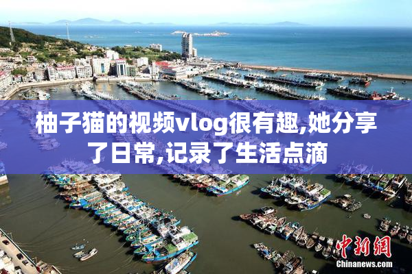 柚子猫的视频vlog很有趣,她分享了日常,记录了生活点滴