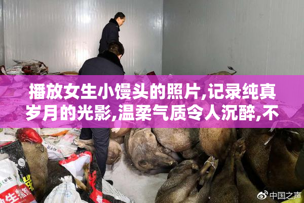 播放女生小馒头的照片,记录纯真岁月的光影,温柔气质令人沉醉,不容