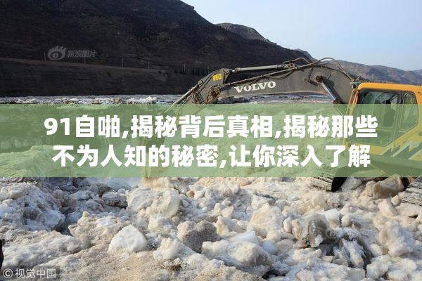 91自啪,揭秘背后真相,揭秘那些不为人知的秘密,让你深入了解