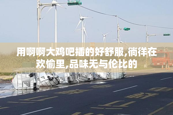 用啊啊大鸡吧插的好舒服,徜徉在欢愉里,品味无与伦比的