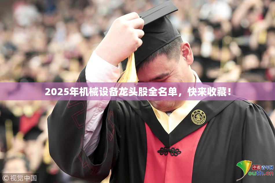 2025年机械设备龙头股全名单，快来收藏！