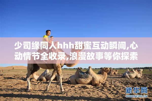 少司缘同人hhh甜蜜互动瞬间,心动情节全收录,浪漫故事等你探索