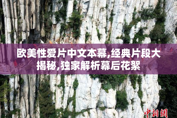 欧美性爱片中文本幕,经典片段大揭秘,独家解析幕后花絮