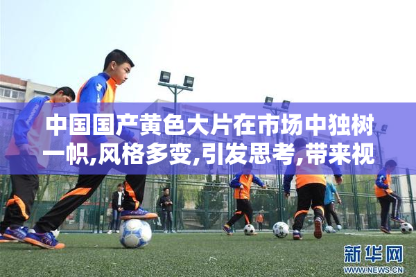 中国国产黄色大片在市场中独树一帜,风格多变,引发思考,带来视觉