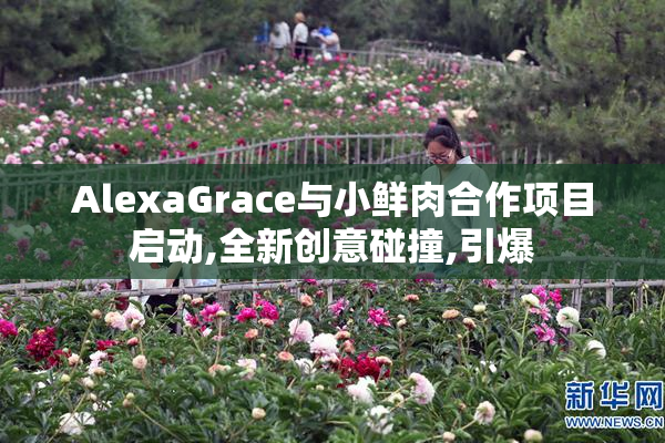 AlexaGrace与小鲜肉合作项目启动,全新创意碰撞,引爆