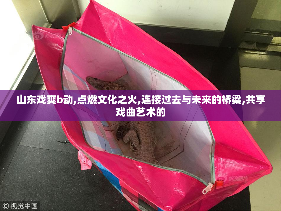 山东戏爽b动,点燃文化之火,连接过去与未来的桥梁,共享戏曲艺术的