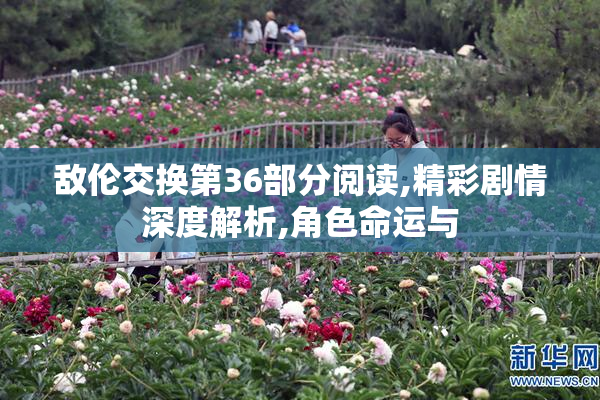 敌伦交换第36部分阅读,精彩剧情深度解析,角色命运与