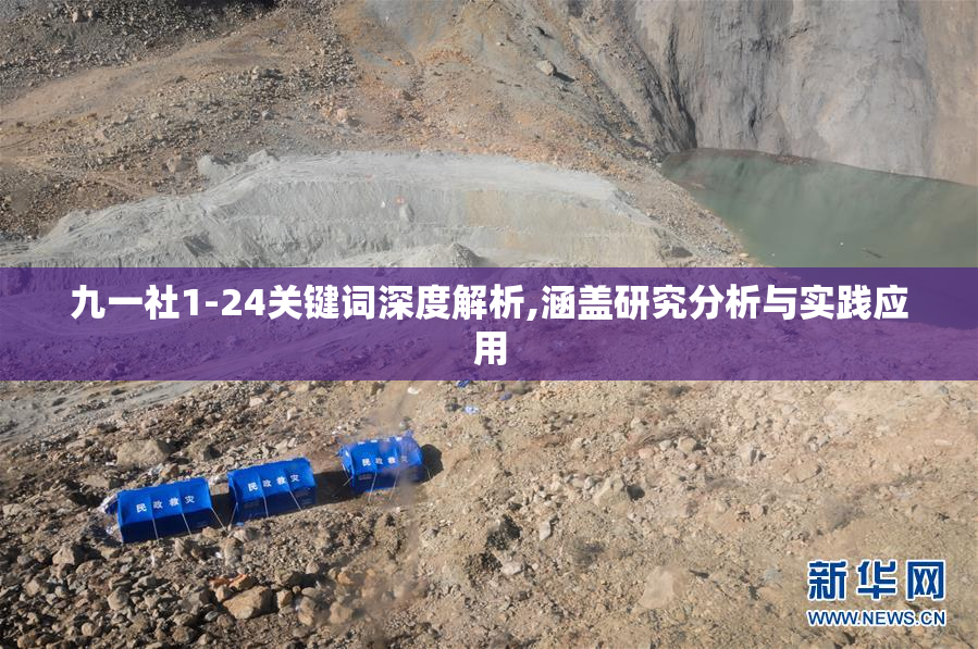 九一社1-24关键词深度解析,涵盖研究分析与实践应用