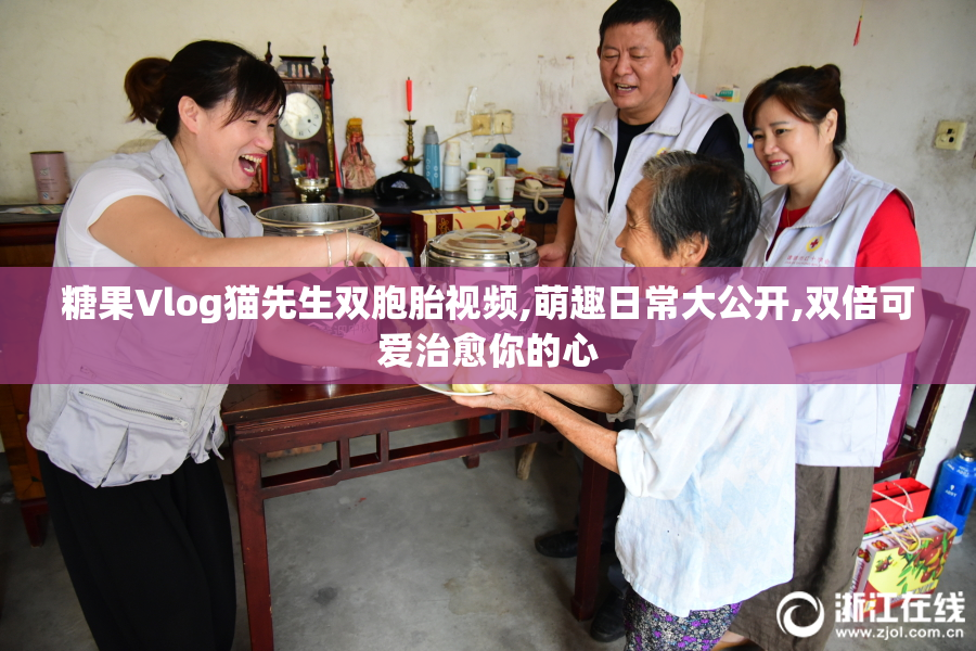 糖果Vlog猫先生双胞胎视频,萌趣日常大公开,双倍可爱治愈你的心