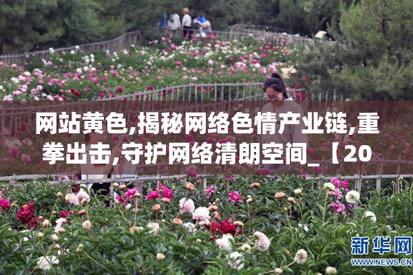 网站黄色,揭秘网络色情产业链,重拳出击,守护网络清朗空间_【2025