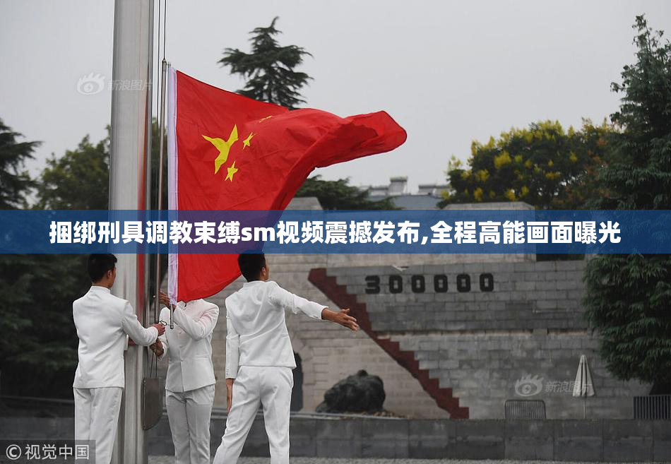 捆绑刑具调教束缚sm视频震撼发布,全程高能画面曝光