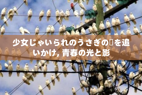 少女じゃいられのうさぎの夢を追いかけ, 青春の光と影