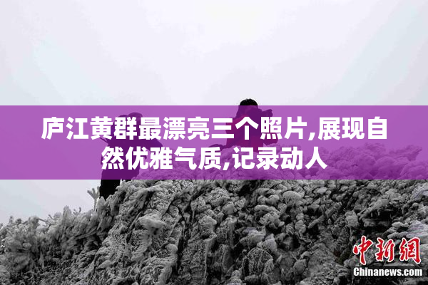 庐江黄群最漂亮三个照片,展现自然优雅气质,记录动人
