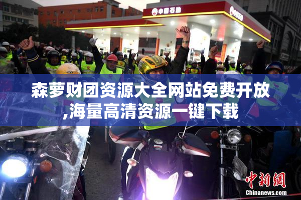 森萝财团资源大全网站免费开放,海量高清资源一键下载