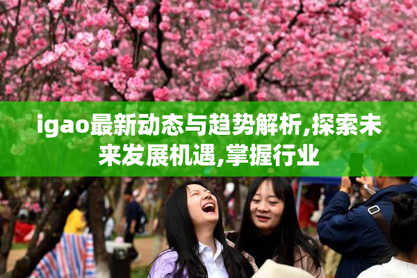 igao最新动态与趋势解析,探索未来发展机遇,掌握行业