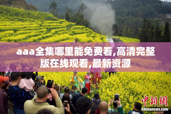 aaa全集哪里能免费看,高清完整版在线观看,最新资源