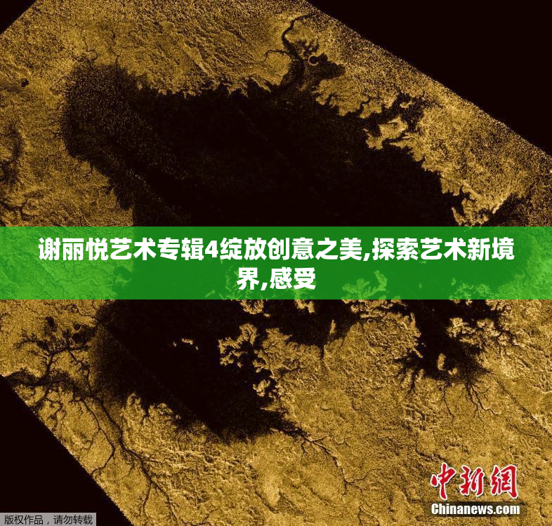 谢丽悦艺术专辑4绽放创意之美,探索艺术新境界,感受