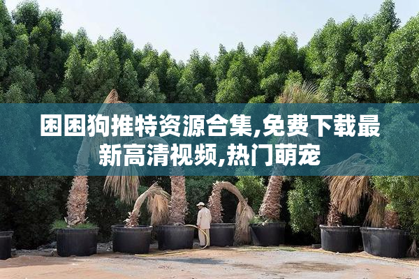 困困狗推特资源合集,免费下载最新高清视频,热门萌宠